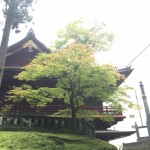 skaut-report-japonsko-2015-1-4